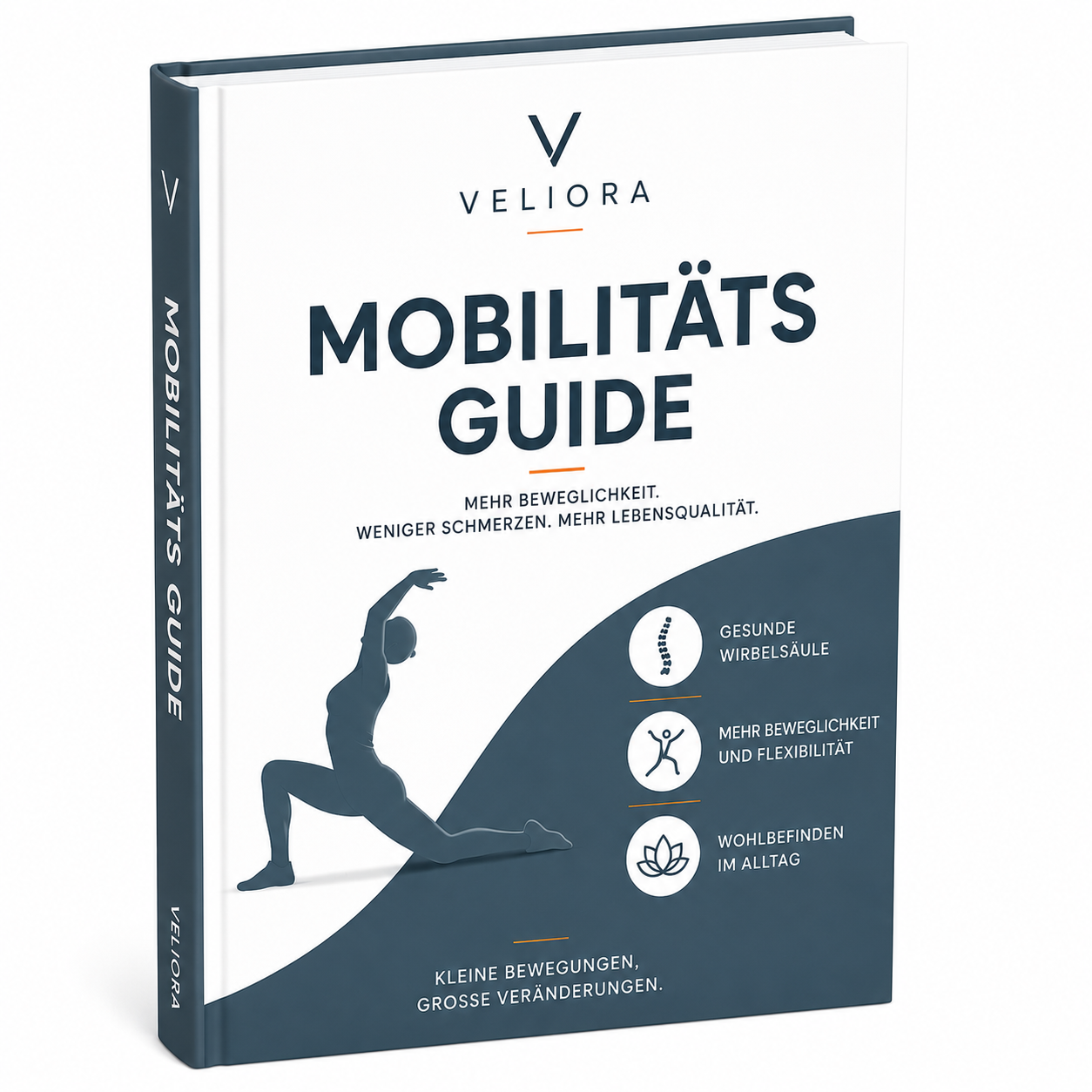 Mobilitäts Guide